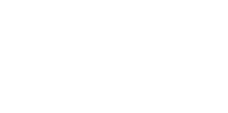 logo inta white