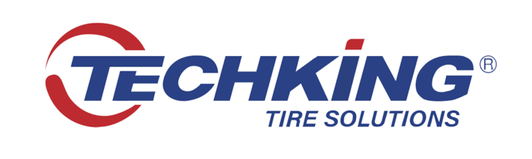 Techking Logo Techking-1