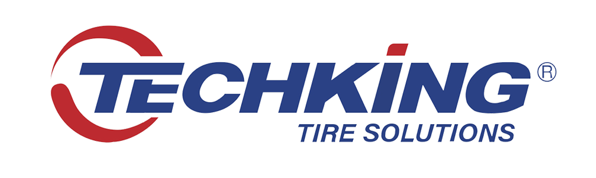 Logo Techking-1